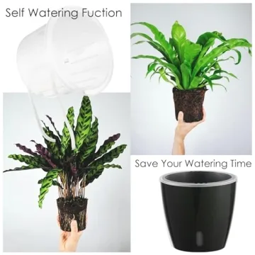 KvyusFlourish 5-Inch Self-Watering Pots for Indoor Plants