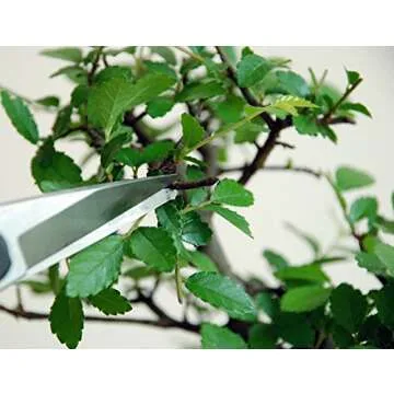 Okatsune Professional Snips No.207 for Pruning and Gardening