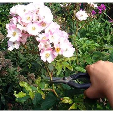 Okatsune Professional Snips No.207 for Pruning and Gardening