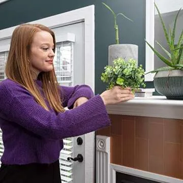 CASALUXE Artificial Potted Plants, Set of 3 Fake Eucalyptus, Boxwood and Rosemary, 2-Toned Plastic Faux Greenery, Mini Houseplants in Cement-Colored Paper Pulp Pots – Modern Farmhouse Decor, 7x8 inch