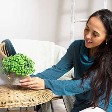 CASALUXE Artificial Potted Plants, Set of 3 Fake Eucalyptus, Boxwood and Rosemary, 2-Toned Plastic Faux Greenery, Mini Houseplants in Cement-Colored Paper Pulp Pots – Modern Farmhouse Decor, 7x8 inch