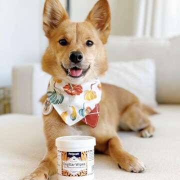 Petpost | Dog Ear Cleaner Wipes - Ultra Soft Cotton Pads in Coconut Oil Aloe Solution - Dog Ear Rinse & Cleanser 100 ct.