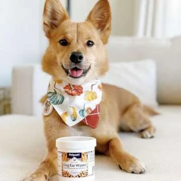 Petpost | Dog Ear Cleaner Wipes - Ultra Soft Cotton Pads in Coconut Oil Aloe Solution - Dog Ear Rinse & Cleanser 100 ct.
