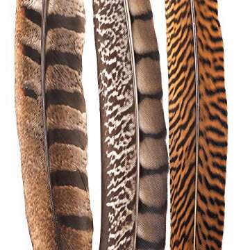 Outuxed 15 pcs Natural Pheasant Feathers for Crafts DIY Feather Tails in 3 Styles 25-30cm
