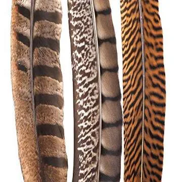 Outuxed 15 pcs Natural Pheasant Feathers for Crafts DIY Feather Tails in 3 Styles 25-30cm