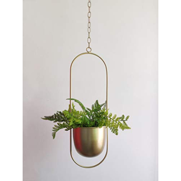 Stylish RISEON Gold Metal Plant Hanger for Decor