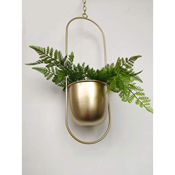 Stylish RISEON Gold Metal Plant Hanger for Decor