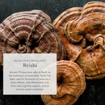 Organic Mushroom & Cacao Blend for Immunity & Focus