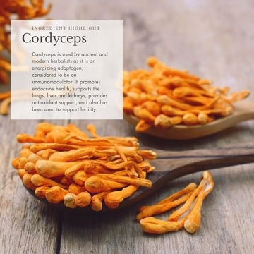 Organic Mushroom & Cacao Blend for Immunity & Focus