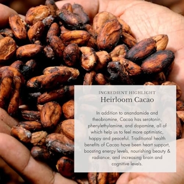 Organic Mushroom & Cacao Blend for Immunity & Focus