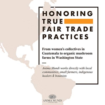 Organic Mushroom & Cacao Blend for Immunity & Focus