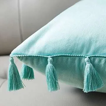 WESTERN HOME Pack of 2 Velvet Decorative Throw Pillow Covers with Tassels Fringe Boho Accent Cushion Case for Couch Sofa Bed 20 x 20 Inch Teal Green
