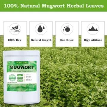 Dried Mugwort Leaves, 4oz(114g), Natural Artemisia Vulgaris Herb Loose Leaves, 100% Natural Mugwort ...
