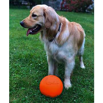Jolly Pets Bounce-n-Play Dog Toy Ball, 8 Inches/Large, Orange, (Model: 2508 OR)