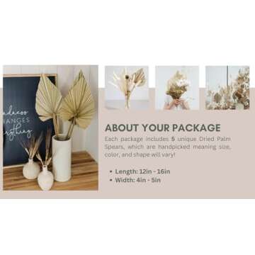 Boho Home Decor Essential | Set of 5 Natural Dried Palm Leaves 12-16” | Ideal for Boho Office & Tropical House Decor | Dried Flower Bouquet | Wedding Table Decor | Neutral Home Decor Palm Spears