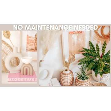 Boho Home Decor Essential | Set of 5 Natural Dried Palm Leaves 12-16” | Ideal for Boho Office & Tropical House Decor | Dried Flower Bouquet | Wedding Table Decor | Neutral Home Decor Palm Spears