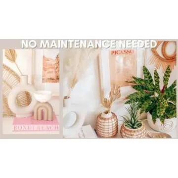 Natural Dried Palm Leaves for Boho Decor & Weddings