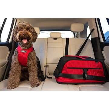 Sleepypod Air - Airline Approved Pet Carrier and Crash-Tested Car Seat for Cats and Dogs up to 18 lbs (Jet Black)