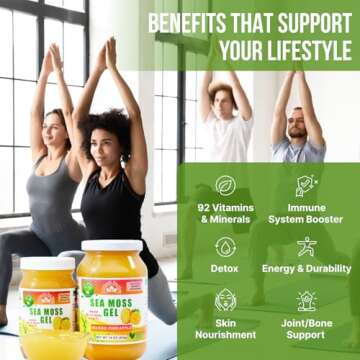 EverSmith Organics - Wildcrafted Irish Sea Moss Gel | Made in USA | Rich in Vitamins & Minerals | Sea Moss Gel Raw | Nutritional Supplement | Mango Pineapple (16 oz)