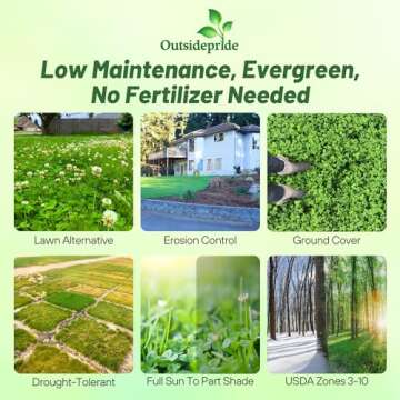 Outsidepride Perennial White Dutch Clover Seed - 2 lbs. Nitrocoated, Inoculated Clover Seeds for Law...