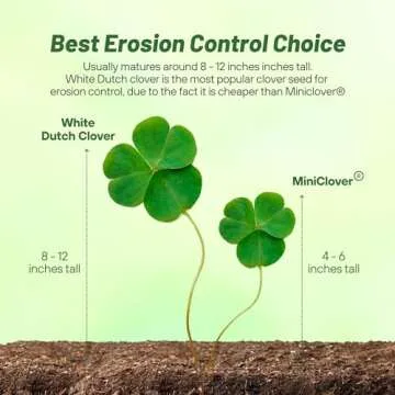 Outsidepride Perennial White Dutch Clover Seed - 2 lbs. Nitrocoated, Inoculated Clover Seeds for Lawn Alternative, Erosion Control, Food Plots, Ground Cover, & Pasture Mixtures in USDA Zones 3-10