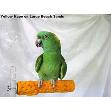 Polly's Beach Sands Bird Perch, Large