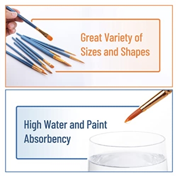 10pc Professional Paint Brushes Set for Artists & Hobbyists