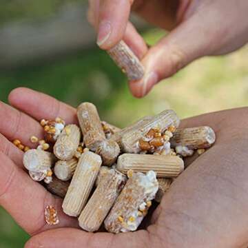 Organic Hen of The Woods Mushroom Plugs for Gourmet Growing