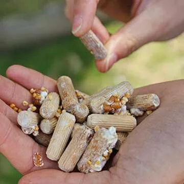 Organic Hen of The Woods Mushroom Plugs for Gourmet Growing