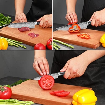 Ultra Sharp SANDEWILY Japanese Knife Set for Chefs