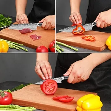 Ultra Sharp SANDEWILY Japanese Knife Set for Chefs