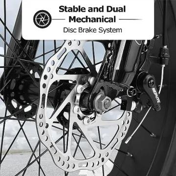 Elecony Ecarpat Fat Tire Mountain Bike for Teens