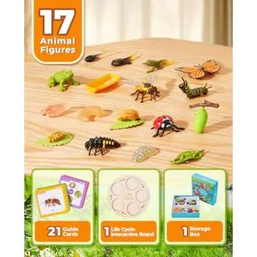 JoyCat Life Cycle Learning Education Toys, Insect Caterpillar to Butterfly kit, Ladybug, Bee, Tadpol...
