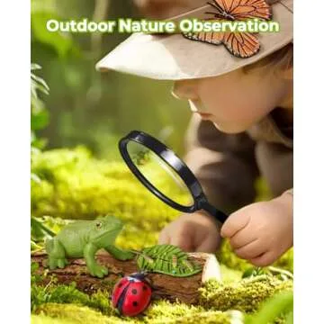 JoyCat Life Cycle Learning Education Toys, Insect Caterpillar to Butterfly kit, Ladybug, Bee, Tadpole to Frog Kit Life Cycle Toys for Kids, Preschool Learning Activities for Age 3 4 5 6 7 8