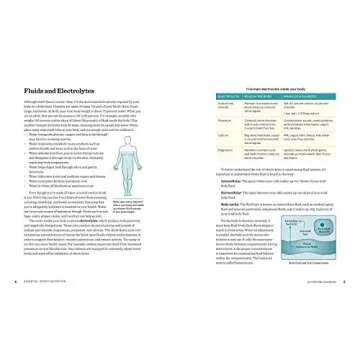 Essential Sports Nutrition: A Guide to Optimal Performance for Every Active Person