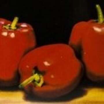 Tombow Dual Brush Marker Set: Vibrant Primary Colors