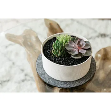 Eco-Friendly Cork Plant Mats - Durable & Stylish