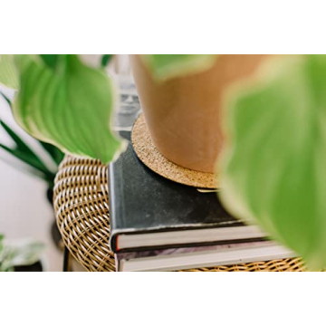 Eco-Friendly Cork Plant Mats - Durable & Stylish