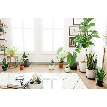 Eco-Friendly Cork Plant Mats - Durable & Stylish