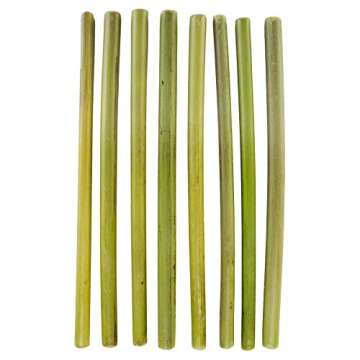 Sustainable Totally Bamboo 8-Pack Straws - Eco-Friendly