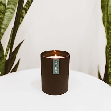 Calyan Wax Soy Wax Candle, Evergreen & Eucalyptus Scented Candle for The Home | Premium Candles with Essential Oils | 10.2 oz 50 Hour Burn Time | Soy Candles in Matte Black Jar