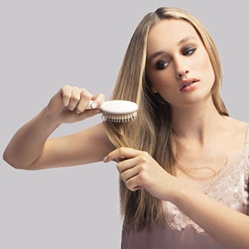 Travel Size Boar Bristle Hair Brush for Shine and Care