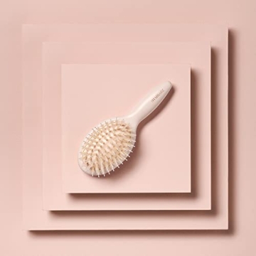 Travel Size Boar Bristle Hair Brush for Shine and Care