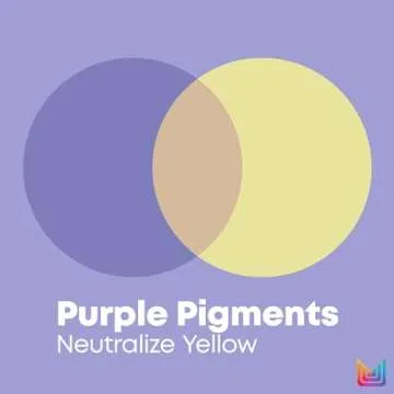 MATRIX So Silver Purple Conditioner | Removes Brassy Yellow Undertones | Color Depositing & Toning | Pigmented Conditioner For Blondes and Greys | For Color Treated Hair | Salon Conditioner | Vegan