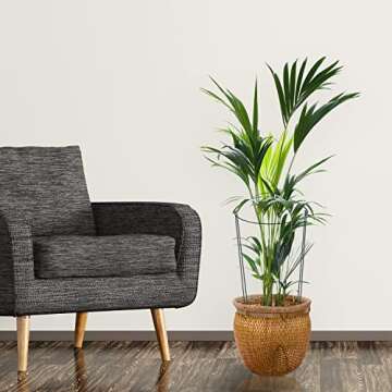 24 Pack Plant Support Stake, Half Round Metal Garden Plant Stake, Green Plant Support Ring, Border Support with Plant Lables & Plant Clips for Outdoor Indoor Plants, Vegetable, Flowers