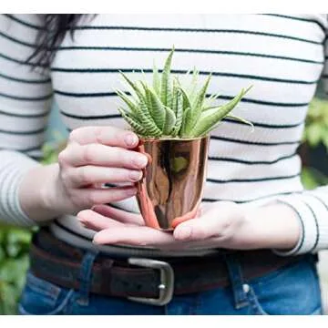 Small Faux Aloe Succulent in Rose Gold Ceramic Planter - 4 x 6 Inches - Marmeda Decor Potted Artificial Plant in Shiny Copper Glazed Pot - Global Modern Metallic Decor for Home or Office