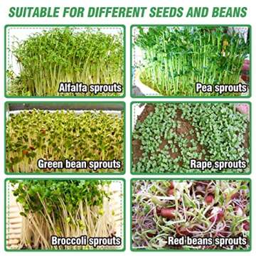 Aulock Stainless Steel Seed Sprouting Kit - 3-Tier Stackable Seed Sprouter Tray 7.9 Dia, Round Sprout Maker with Encrypted Mesh Sprouts Grower for Beans Broccoli Sprout Alfalfa Seeds Wheat Grass