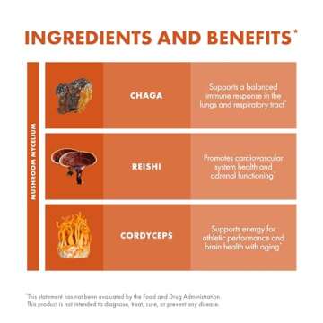 Host Defense Breathe* Capsules - Immune & Respiratory Support Mushroom Supplement - Herbal Lung Health Supplement with Chaga, Reishi & Cordyceps - 60 Capsules (30 Servings)*