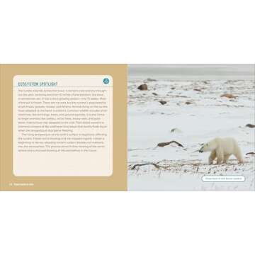 Planet Earth for Kids: A Junior Scientist's Guide to Water, Air, and Life in Our Ecosphere