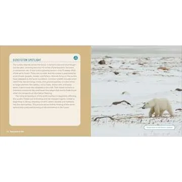 Planet Earth for Kids: A Junior Scientist's Guide to Water, Air, and Life in Our Ecosphere